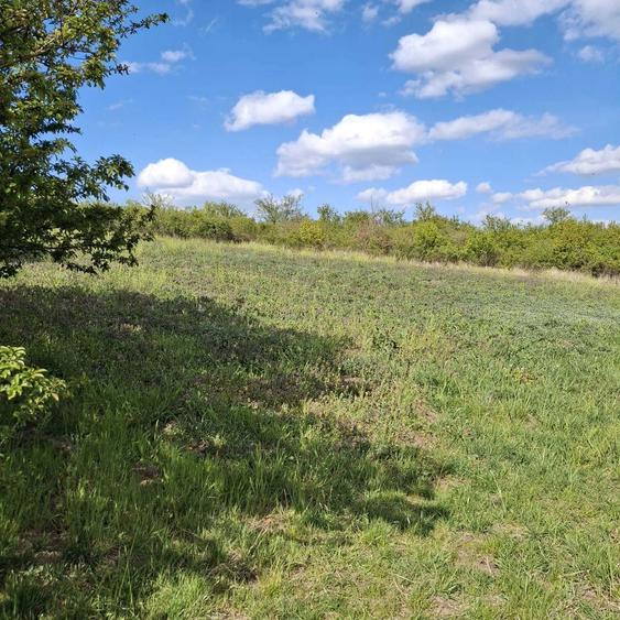 Teren Intravilan Oradea 1000 m2 Zona Nicolae Beldiceanu - 5