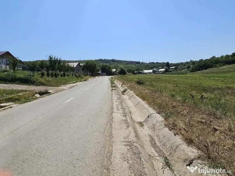 Teren 2.340mp, Dancas Miroslava, - 4