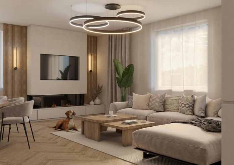 Teren cu autorizatie Baciu, Salistea Noua 600-655mp P+1 - 3