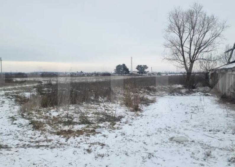 Teren intravilan Aricestii Rahtivani - 3