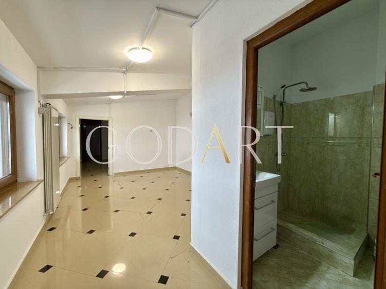 VILA ELEGANTA | CARTIERUL DOMENII - 12