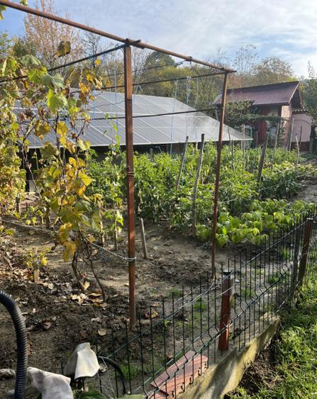 Casa Vladesti ?arina - 16