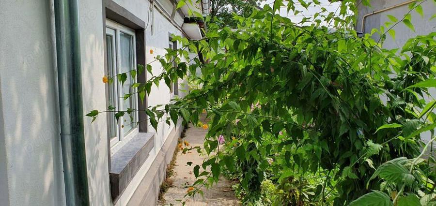 vind casa in Bals jud.Olt - 6