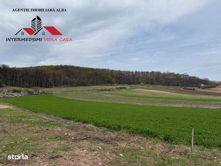 Teren intravilan 833 mp de vanzare in Ampoita Jud Alba - 1