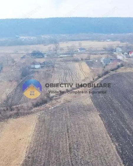 Teren INTRAVILAN 10.515 mp - BODE?TI, judetul NEAM? - 4