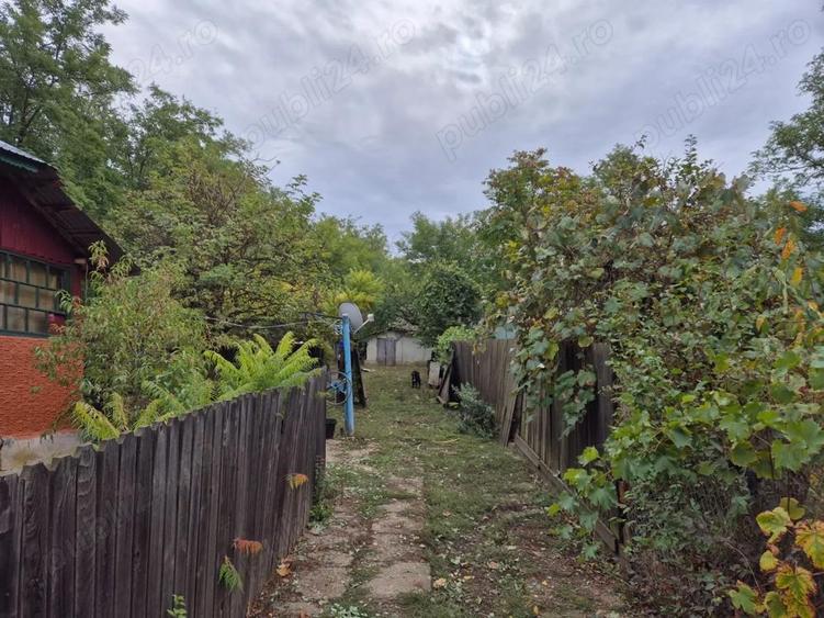 Casa cu teren 3.682 mp, sat Radu Voda (com. Lupsanu, jud. Calara?i) - 7