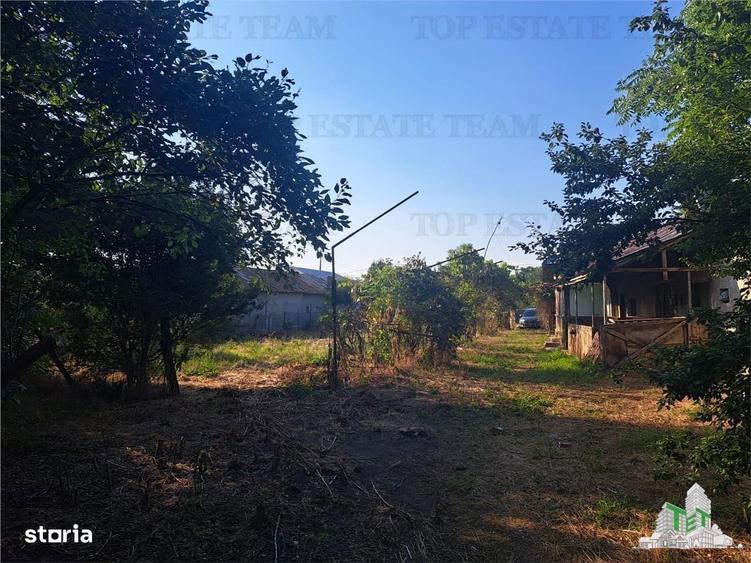 Casa cu teren 3579mp in com. Cascioarele, Jud. Giurgiu - 1