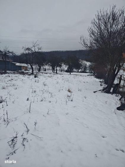 Teren / Zona Daesti / Valcea / - 3