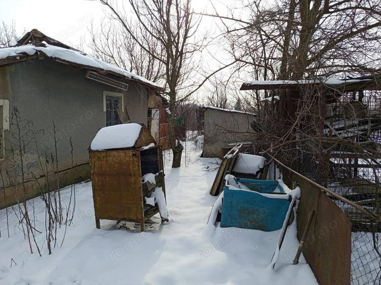 Casa + Teren generos 3283 mp in Curcani, CL Gaze la poarta (Posibilitate parcelare) - 6