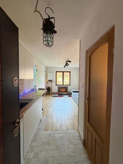 Studio la poalele Cetatii Devei - 7