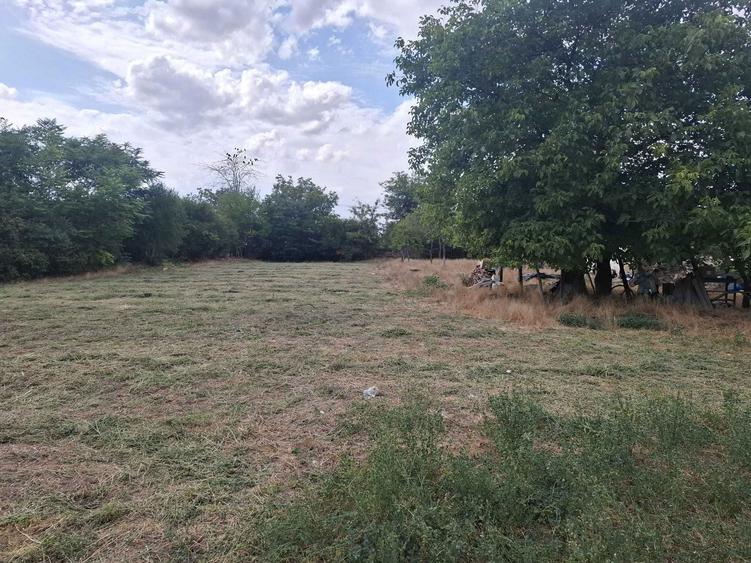 Vand 2144mp teren intravilan Com. Cuza Voda Jud. Constanta 25e/mp - 8