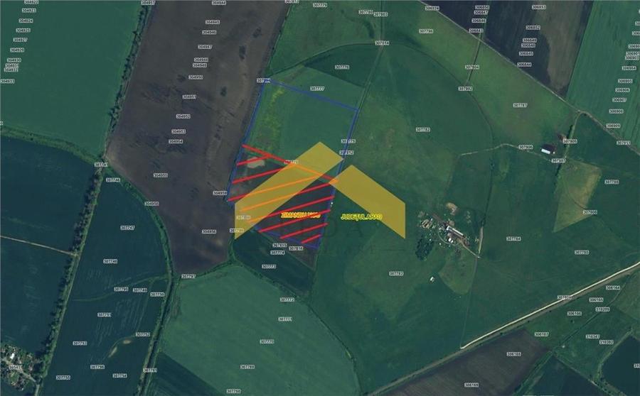 Teren 6,8ha extravilan de vanzare Zimandu Nou - 1