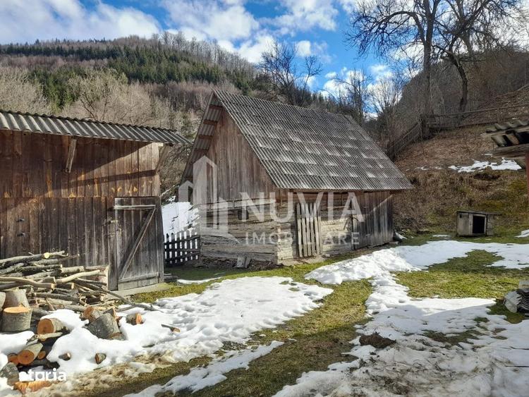 Corp de 2 case individuale, zona Intregalde, 130mp utili si 1035 mp te - 7