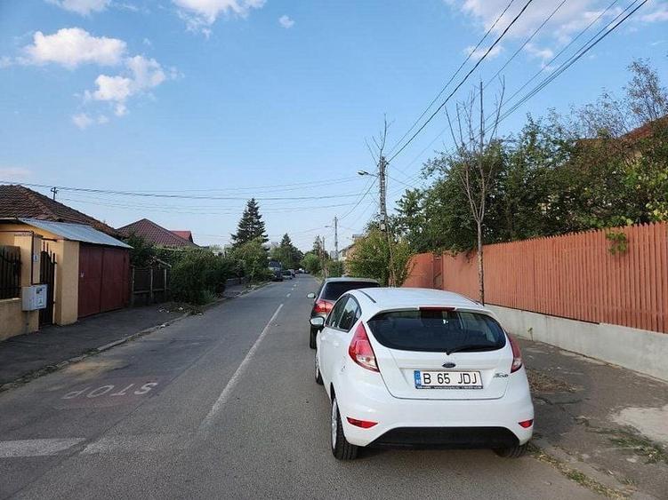 Straulesti Nades teren intravilan 15500 mp deschidere 98 ml - 4