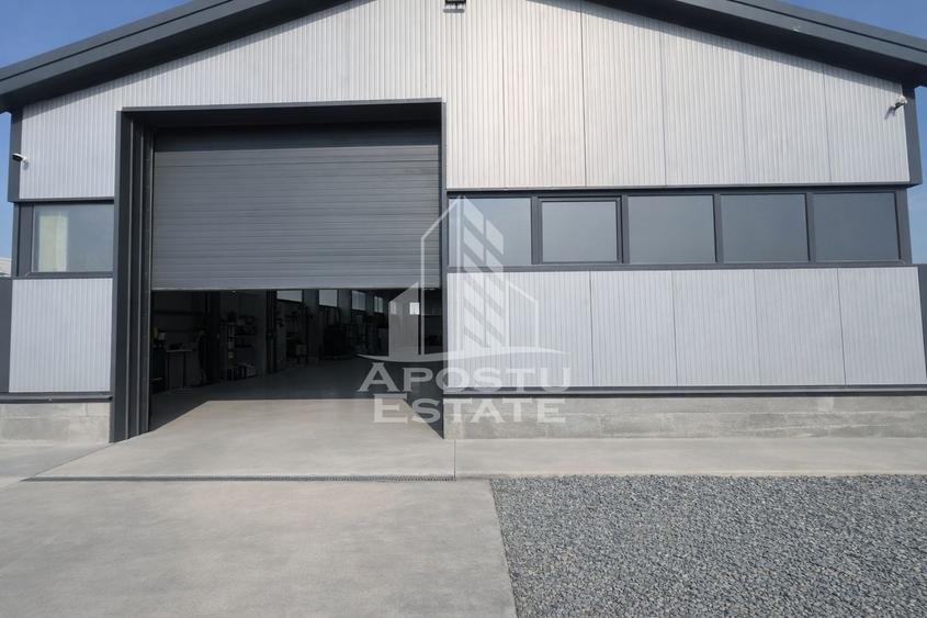 Hala de închiriat – Sacalaz,  curte generoasă, show-room, service auto - 4