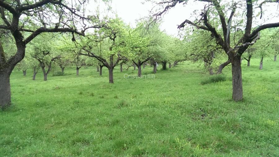 Vand Teren Livada 7.2 hectare