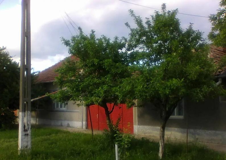 Vand casa 4 camere Macea - 4