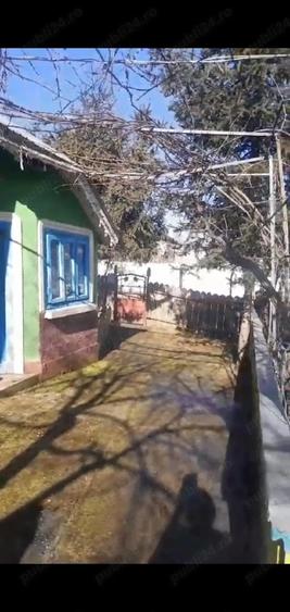 Casa cu gradina Loc. Carapcesti jud. Galati - 8