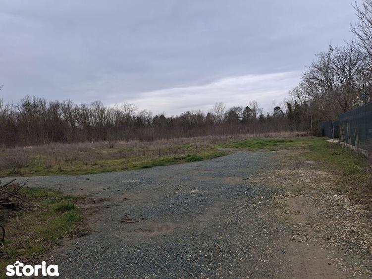 Neptun teren intravilan construibil 1750 mp - 2