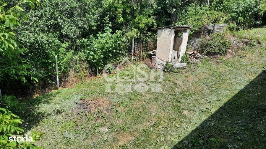 Vanzare casa in Gemenea-Bratulesti, jud. Dambovita (zona viticola) - 17