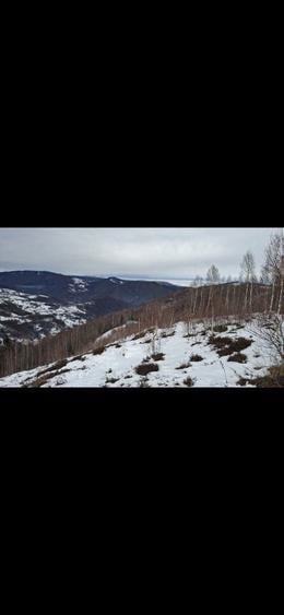 Vand Teren la muntele rece - 3