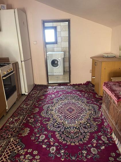 Casa de vanzare - Satul Camena, comuna Baia - 4