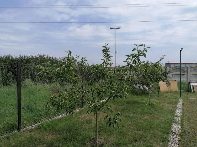 Tartasesti, Dambovita - 2