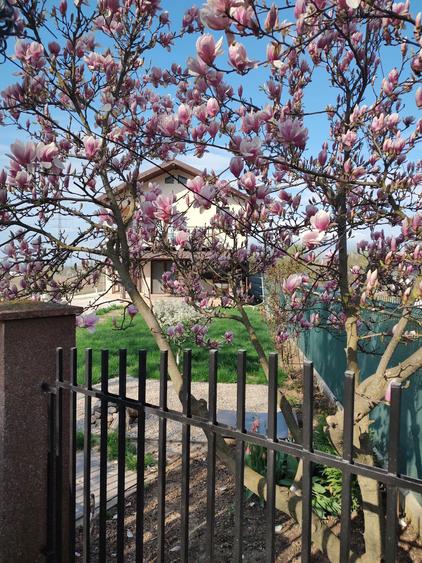 Vand proprietate casa cu teren ( 200 mp + 1250 mp) - 3