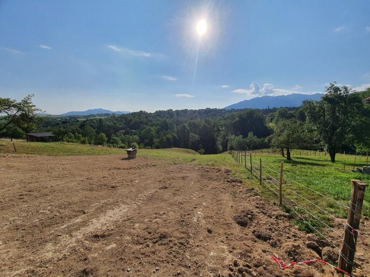 Teren rezidential zona Bran Tohanita zona de case - 3