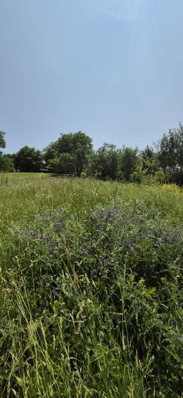 Vand teren intravilan in Feiurdeni - 8