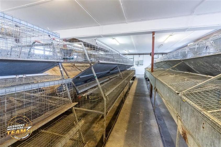 FILM! Ferma de iepuri,Malnas,Covasna: domeniu:industrial/comercial,asset UE - 32