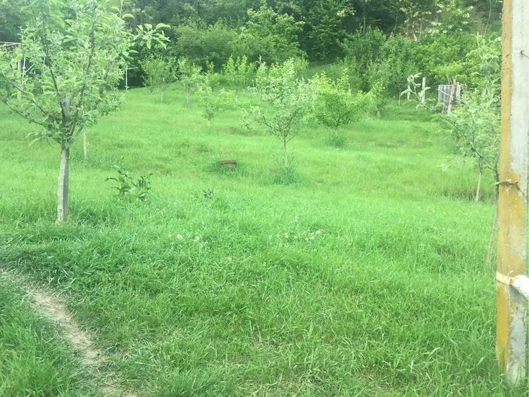 Teren Rm. Valcea, central- Stirbei Voda - 5