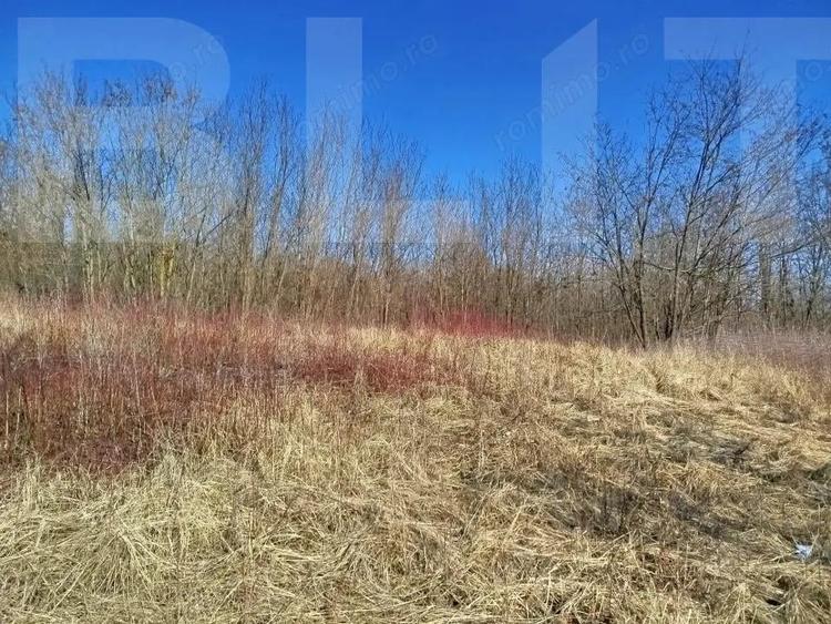 Vand casa ce necesita revonare la Zgribesti nr 100 strada Principala 1 hectar - 3