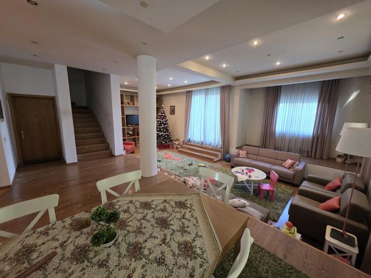 Dristor, Camil Ressu, 15 minute metrou, pe strada Ilioara - 3