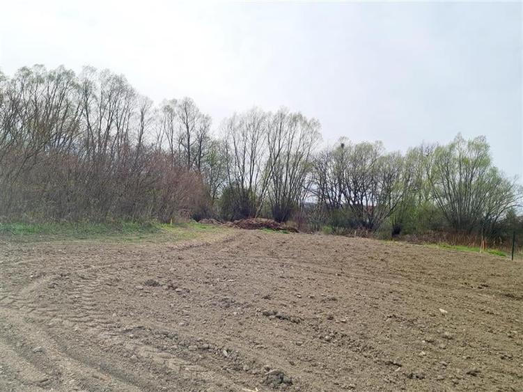 1.700mp intravilan,acces usor,intre case,ideal 2 locuinte/investitie,Lunca Calni - 13