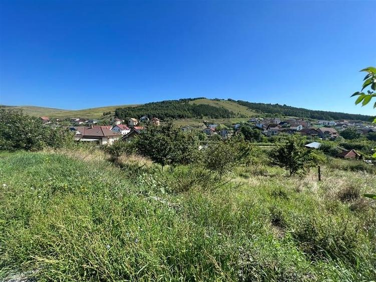 Campenesti Teren 600 MP Front 27M Casa Individuala - 1