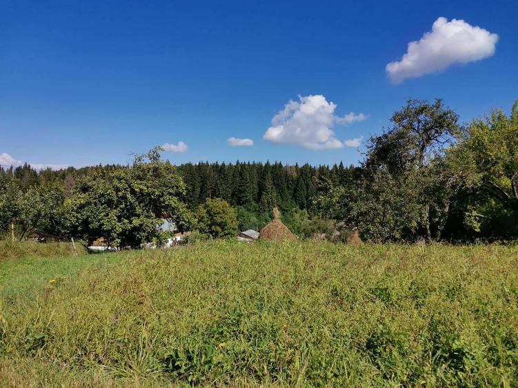 Vand teren intravilan cu casa 7400 mp in Sasca Mare, Suceava - 8