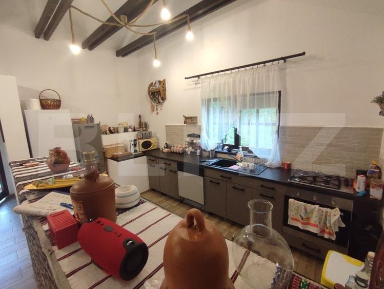 Casa de vacanta si anexe in  Stulpicani - 14