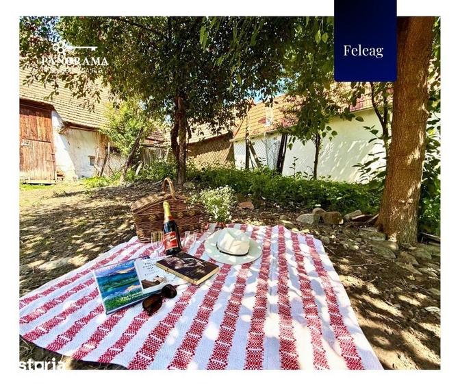 Casă cu 3 camere cu Teren 1590 Mp în Vânători