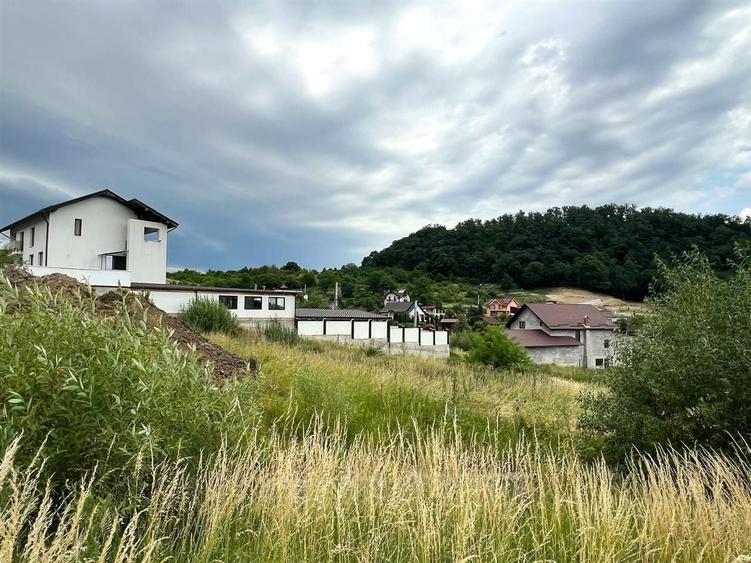 Teren agricol extravilan de 1570 mp, în Est