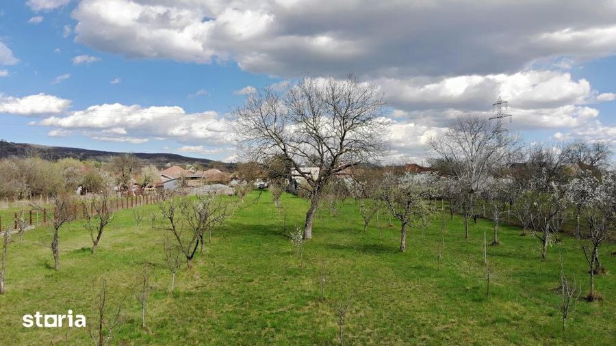 Teren de 4898 mp, în Cornu