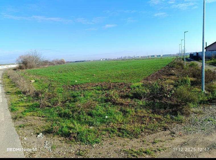 Teren Construcții intravilan de 500 mp, în Afumați