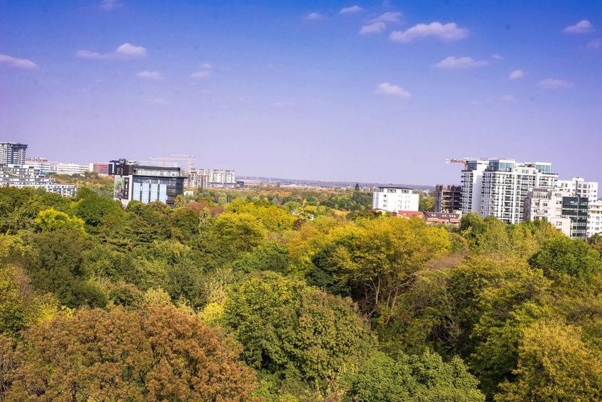 Apartament cu 3 camere decomandat în Floreasca — fotografia 3