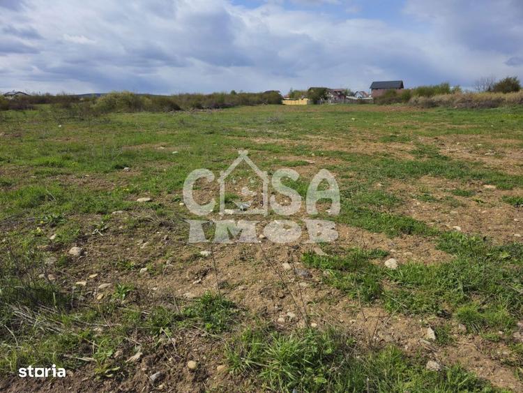 Teren de 3100 mp, în Priseaca