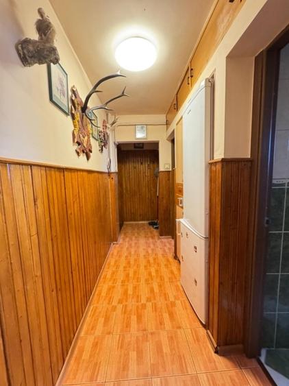 Apartament cu 3 camere semidecomandat în Alexandru cel Bun