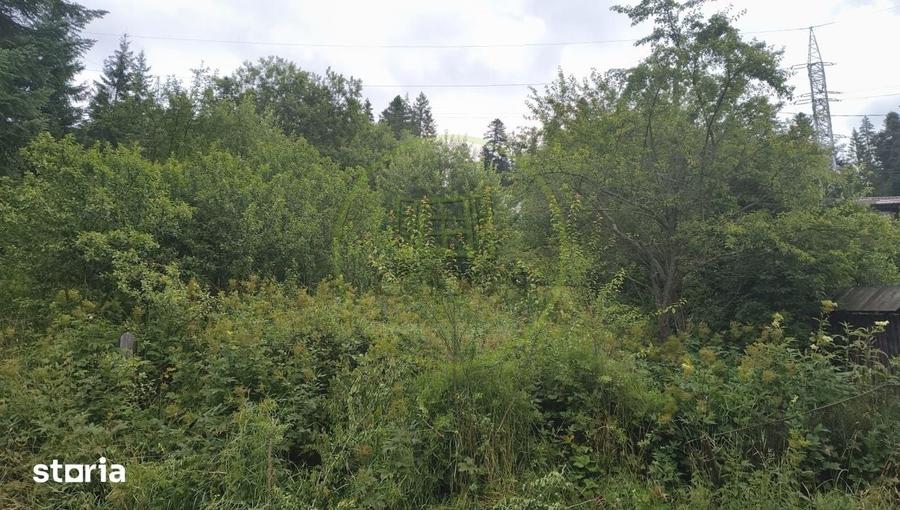 Teren intravilan 997 mp | Predeal | Str. George Cosbuc | Front stradal - 1