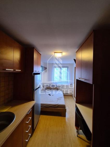 Garsoniera Buziasului - 1