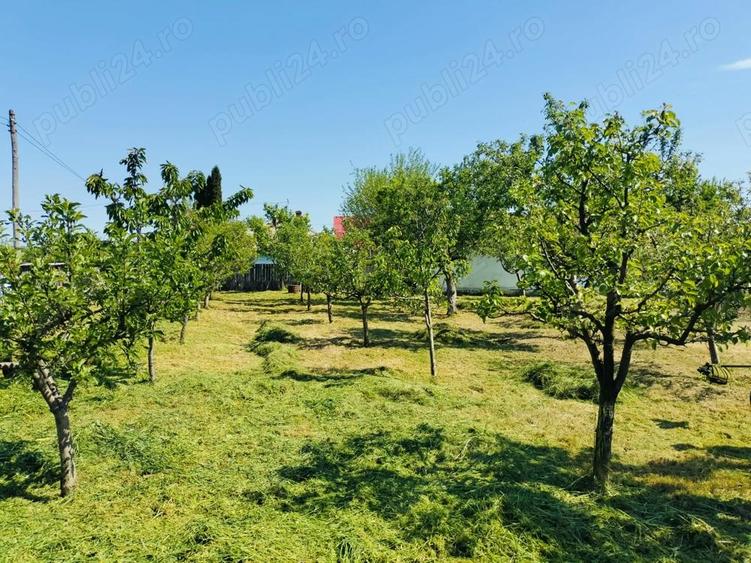 PERSOANA FIZICA!Casa batraneasca cu teren si livada,sat Macaresti, com Prisacani iasi - 5