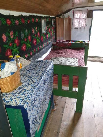 Casa 2 camere 4000 mp langa Vidradru 7 km 34 000 euro - 1