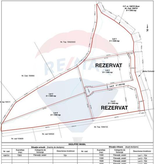 COMISION 0% Teren 1200 mp Sohodol/Valea Sohodolului - 1